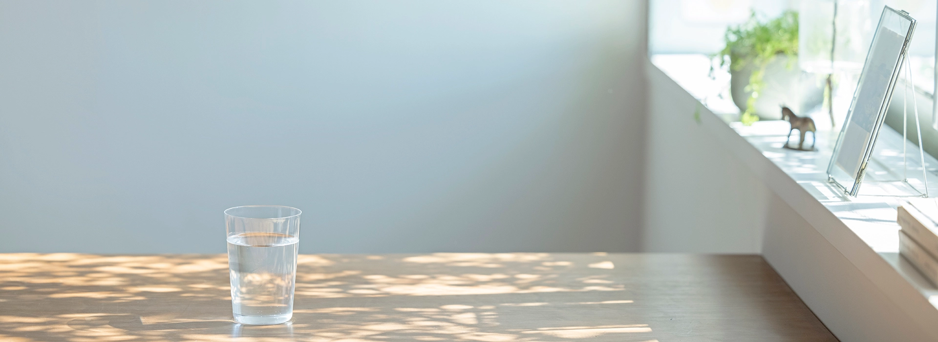 可菱水Cleansui 100%日本製造