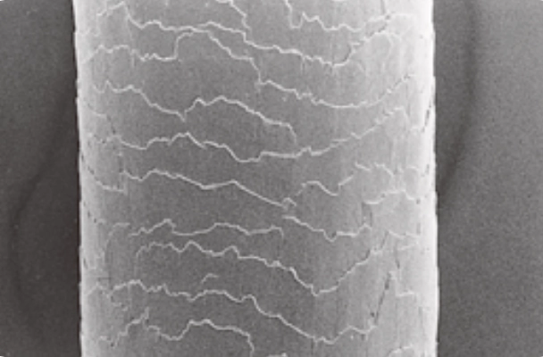 健康的頭髮毛鱗片