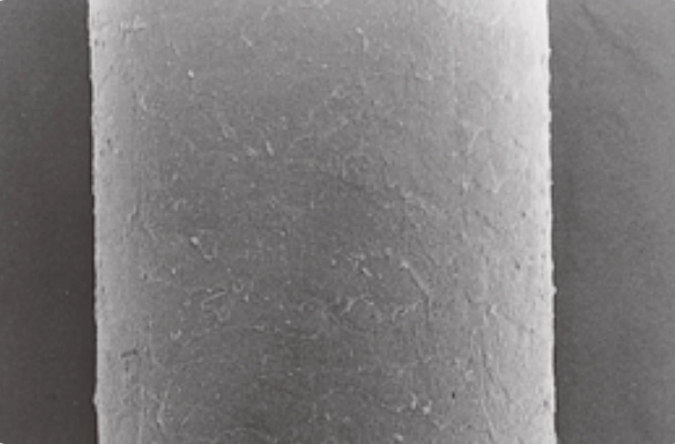 受傷的頭髮毛鱗片